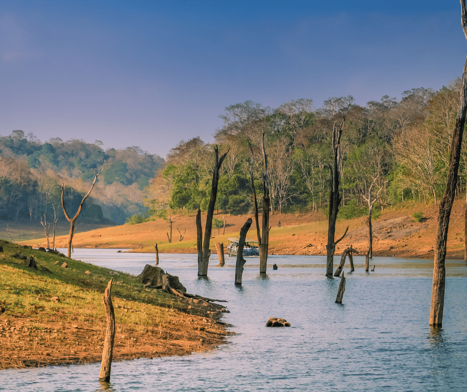 Periyar National Park